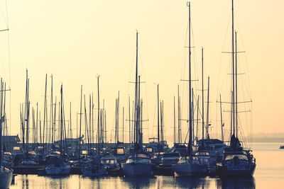 Boats moored at harbor