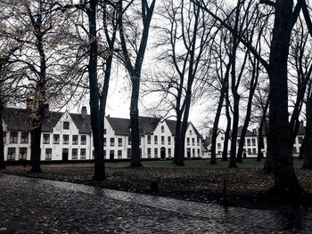 Bare trees and buildings against sky