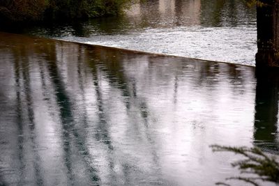 Reflection of trees in water