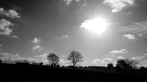 Low angle view of trees against sky