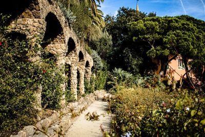 Footpath amidst plants in garden