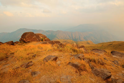 Scenic view of landscape against sky during sunset