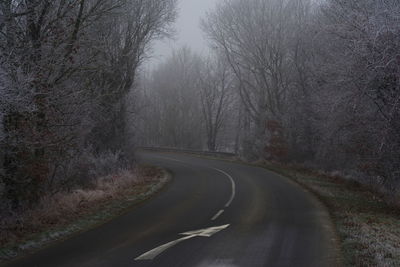 Road amidst bare trees during foggy weather