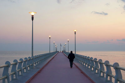 Rear view of man on pier over sea against sky