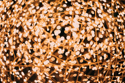 Full frame shot of illuminated christmas lights