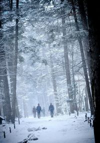 People walking on snow covered forest