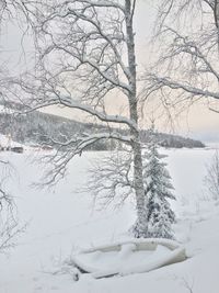 Snow covered bare tree by lake against sky