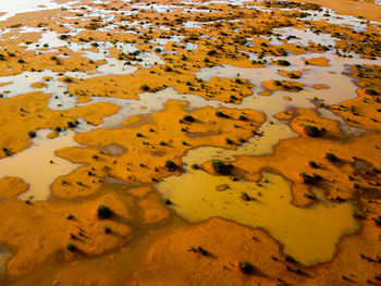 High angle view of beach