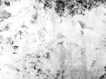 Full frame shot of white background