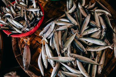 Fish for sale at market