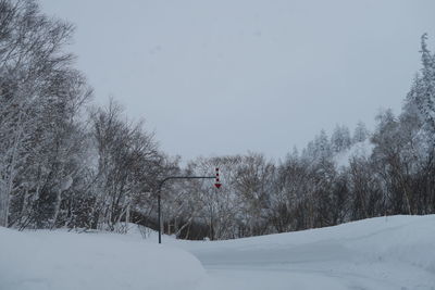 Trees on snow covered field against sky