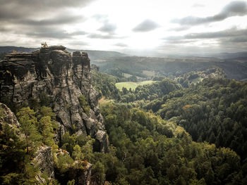 Scenic view of forest against sky