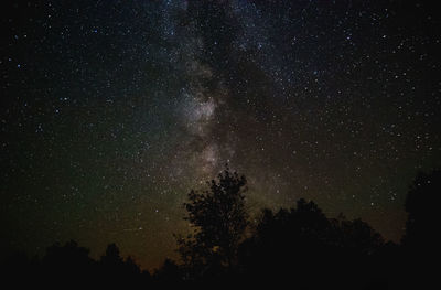 Low angle view of silhouette trees against sky at night