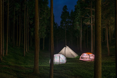 Tent on field against trees at night