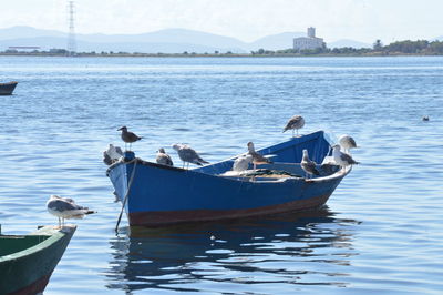 Boats moored in sea