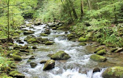 River flowing through rocks