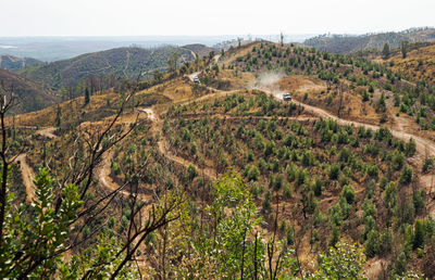 Panoramic shot of trees on landscape against sky