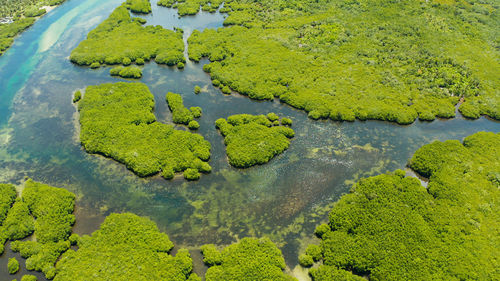 High angle view of leaf floating on water