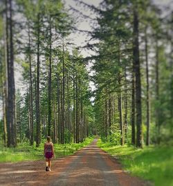 Rear view of people walking on road
