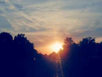 Sun shining through trees