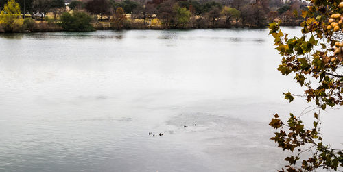 High angle view of a lake