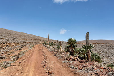 Scenic view of land against sky