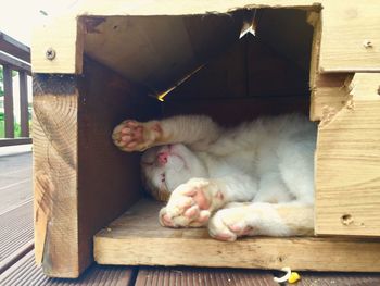 High angle view of cat sleeping in wooden crate