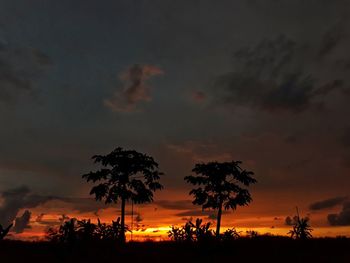 Silhouette trees against dramatic sky during sunset