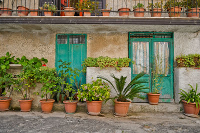 The door of an old house in acri, an old village in calabria region, italy.
