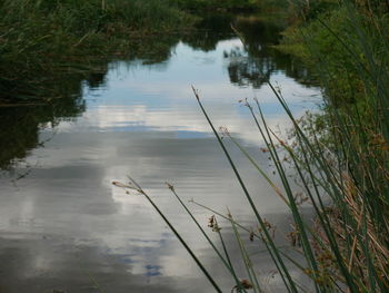 High angle view of lake