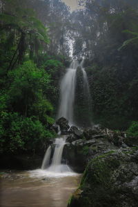 Scenic view of waterfall in forest