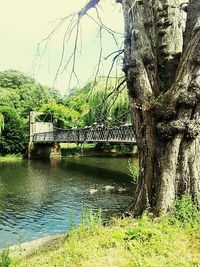 Bridge over river