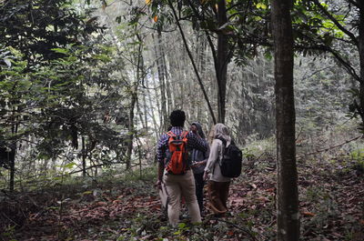 Rear view of man standing by trees in forest