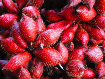 Full frame shot of snake fruits for sale at market