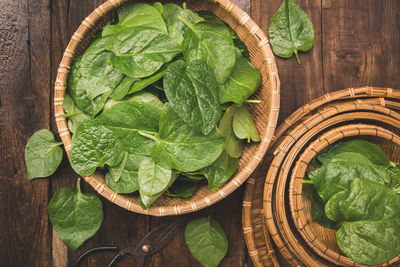 High angle view of green leaves