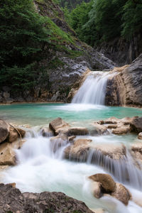 Scenic view of waterfall in forest