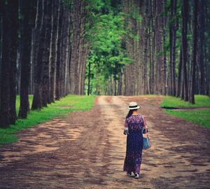 Rear view of woman walking on footpath amidst trees in forest