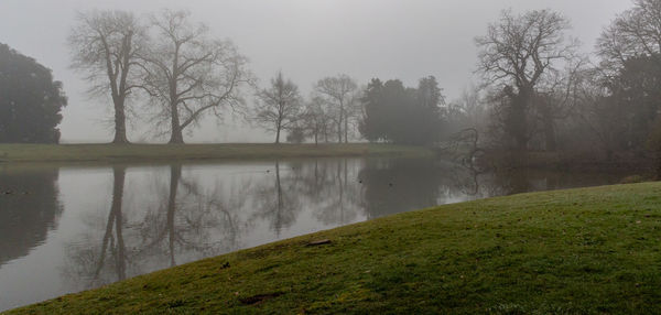Scenic view of lake by trees against sky