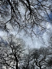 Low angle view of bare trees against sky