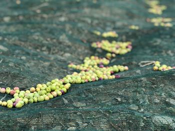 Close-up of fruits