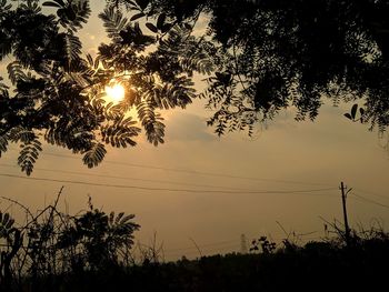 Low angle view of silhouette trees against sky during sunset