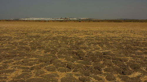 Scenic view of desert against clear sky