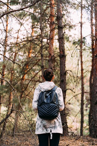 Rear view of people walking in forest