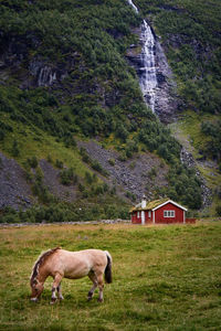 Romedalen, Ørsta, sunnmøre, møre og romsdal, norway.