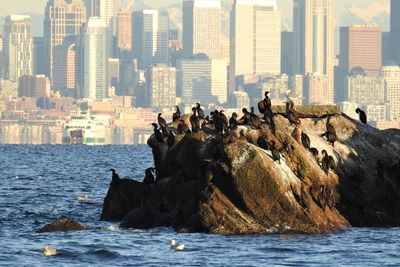 Panoramic view of sea and cityscape