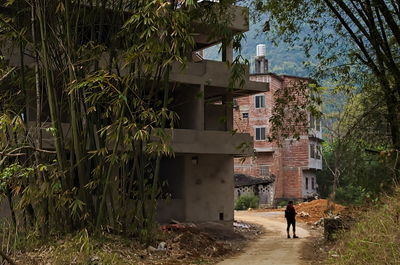 Rear view of man walking by plants