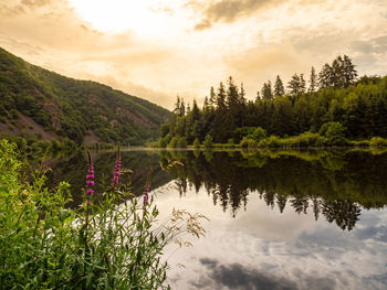 Scenic view of river against sky