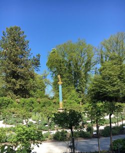 Trees growing in blue sky