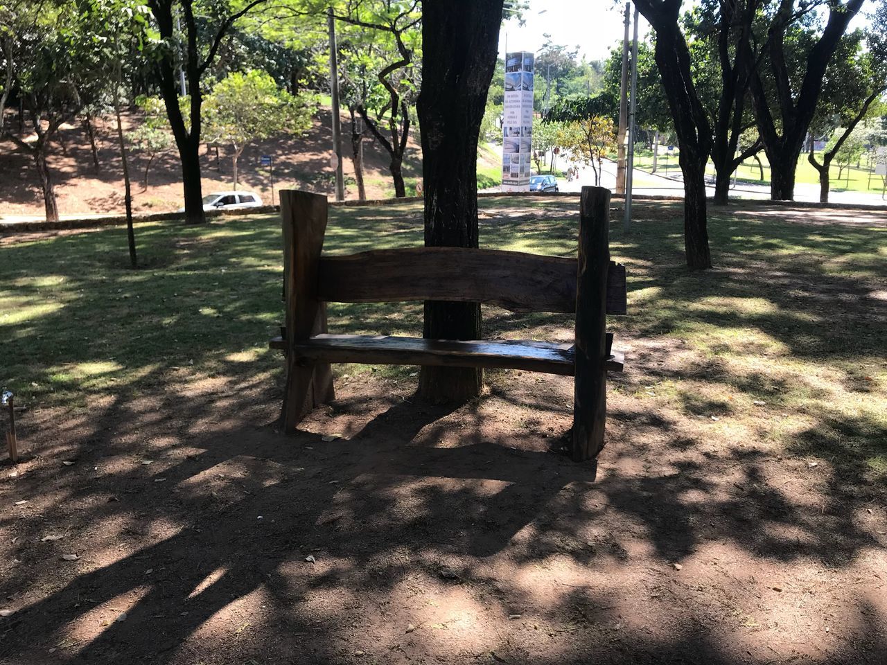 tree, plant, shadow, sunlight, nature, park, no people, tree trunk, day, seat, trunk, growth, empty, absence, outdoors, park - man made space, tranquility, bench, wood - material, beauty in nature, park bench