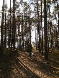 Rear view of man walking in forest